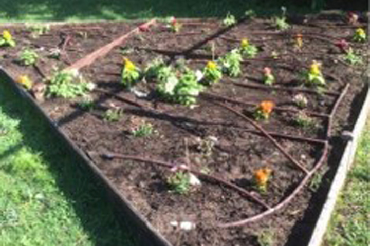 Outdoor Classroom with Educational Gardening