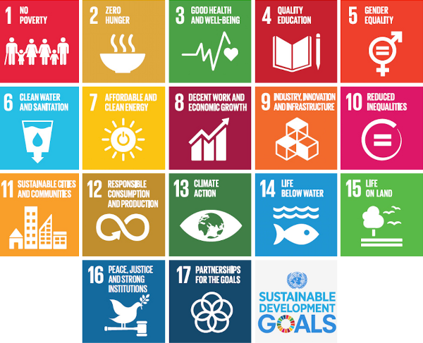 UN established Sustainable Development Goals